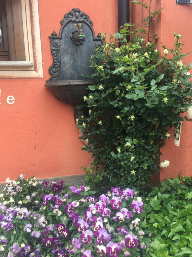吉拉索尔住宿加早餐旅馆 库尼奥 外观 照片